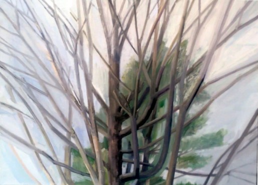 Sylvia Plimack Mangold