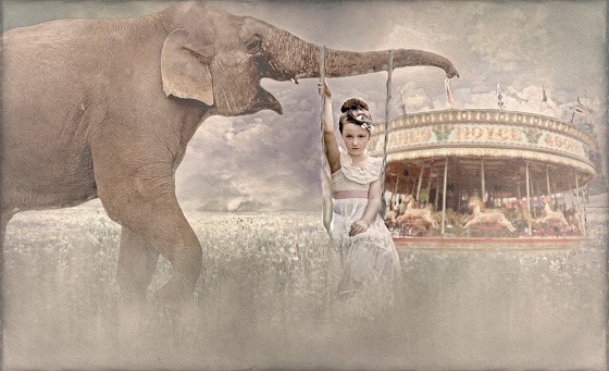 In My Dream Cate Scaglione 2013