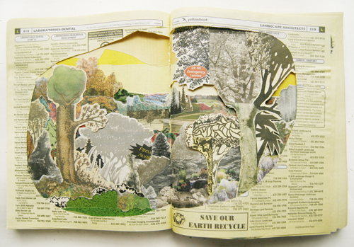 Percoco - Field Studies 2